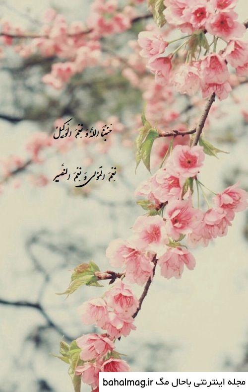  عکس پروفایل حسبی الله شیک