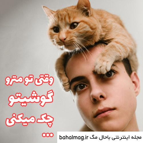 spacer.png