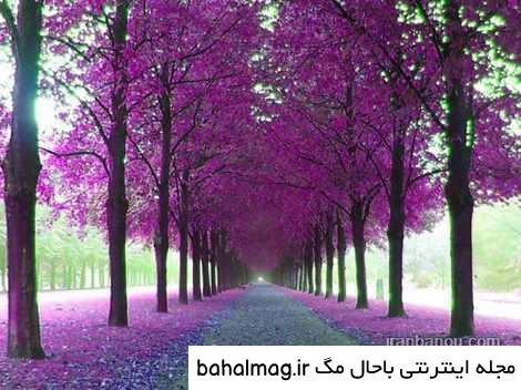 عکس دختر در طبیعت برای پروفایل