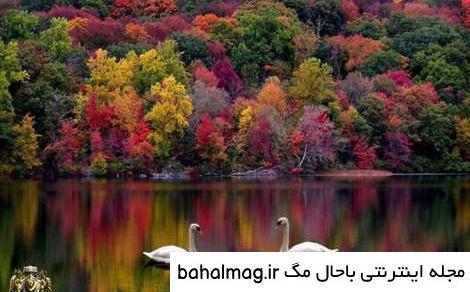 عکس دختر در طبیعت برای پروفایل