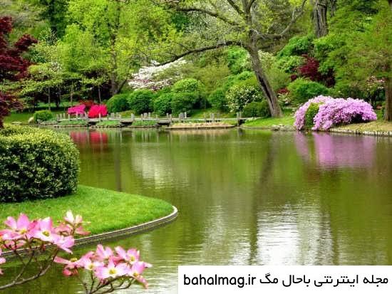 عکس دختر در طبیعت برای پروفایل