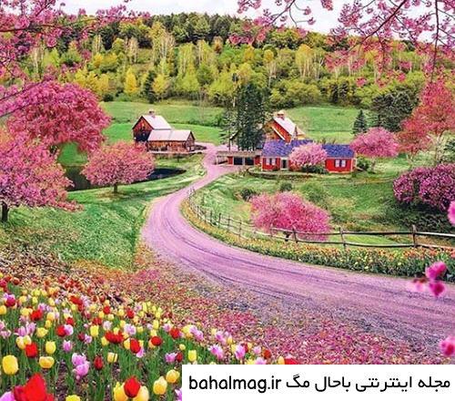 عکس شاد طبیعت پروفایل