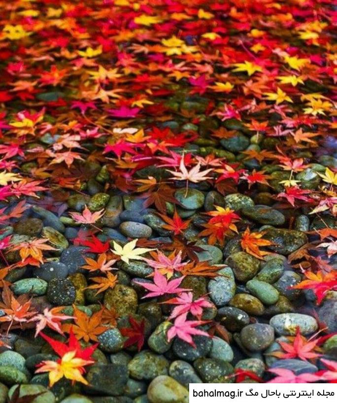 عکس دختر در طبیعت برای پروفایل