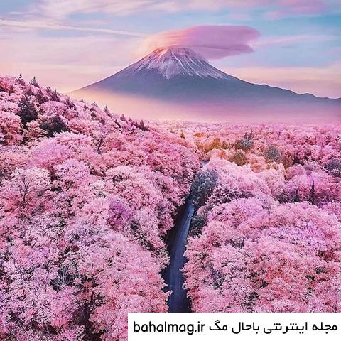 عکس دختر در طبیعت برای پروفایل