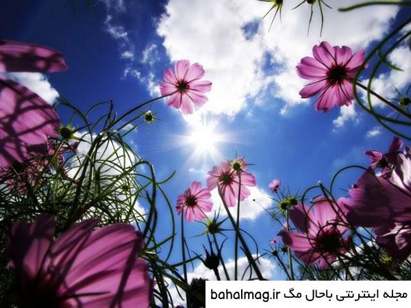 عکس دختر در طبیعت برای پروفایل