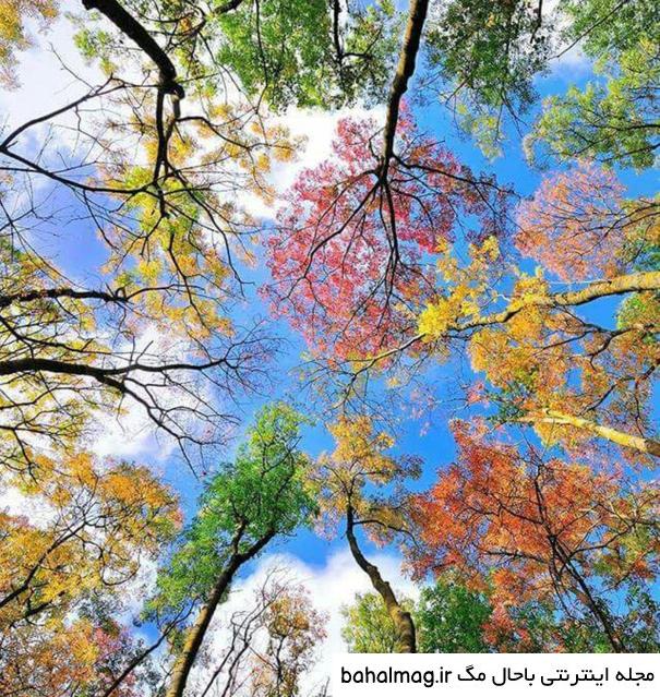 عکس دختر در طبیعت برای پروفایل