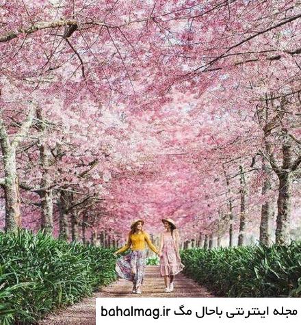 عکس دختر در طبیعت برای پروفایل