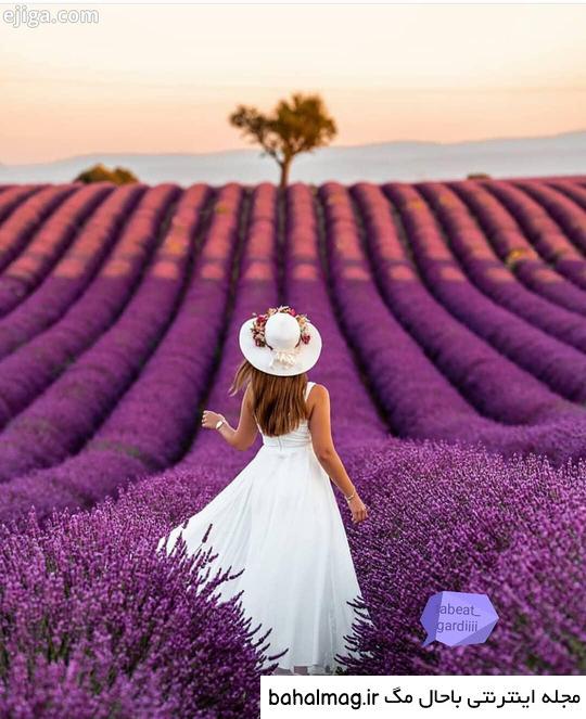 عکس دختر در طبیعت برای پروفایل