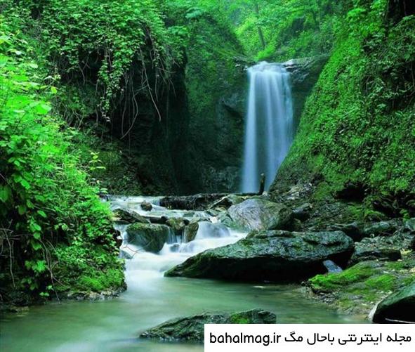 عکس گل و منظره زیبا برای پروفایل