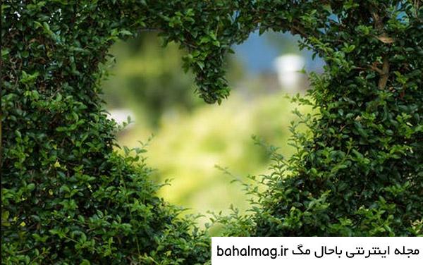 عکس گل و منظره زیبا برای پروفایل