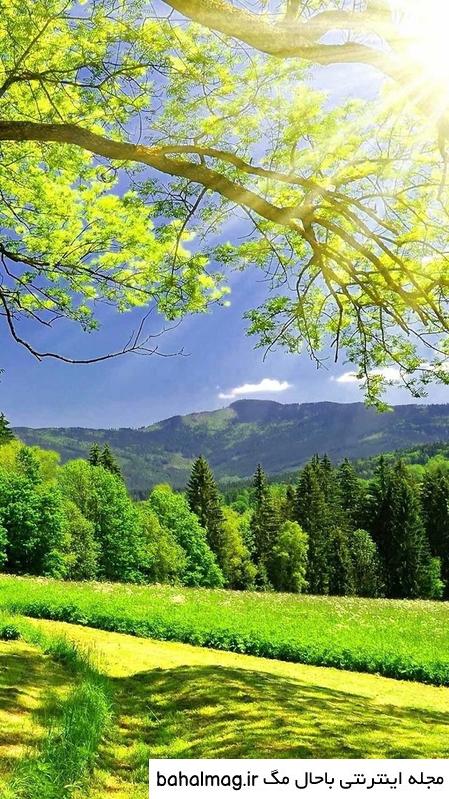 عکس گل و منظره زیبا برای پروفایل