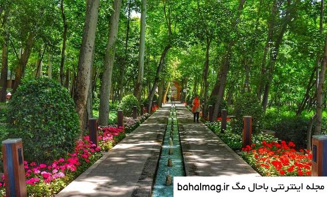 عکس گل و منظره زیبا برای پروفایل