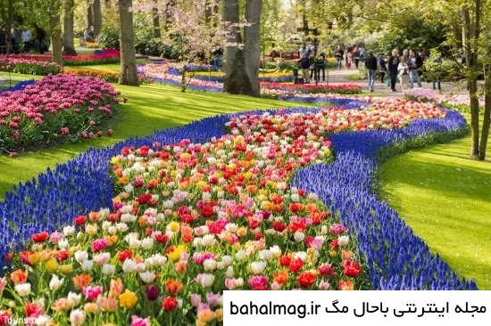 عکس طبیعت تابستانی برای پروفایل