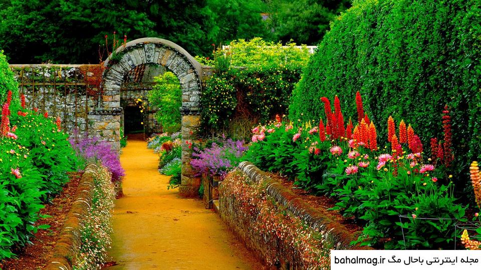 عکس گل و منظره زیبا برای پروفایل