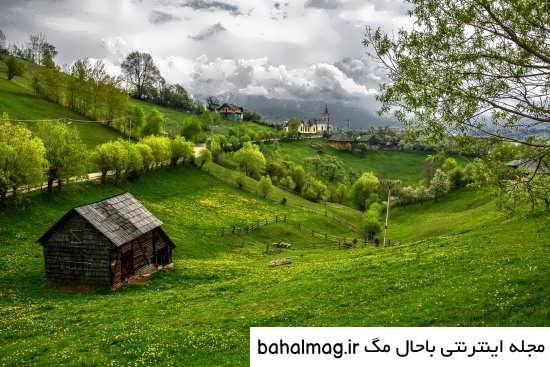 عکس گل و منظره زیبا برای پروفایل