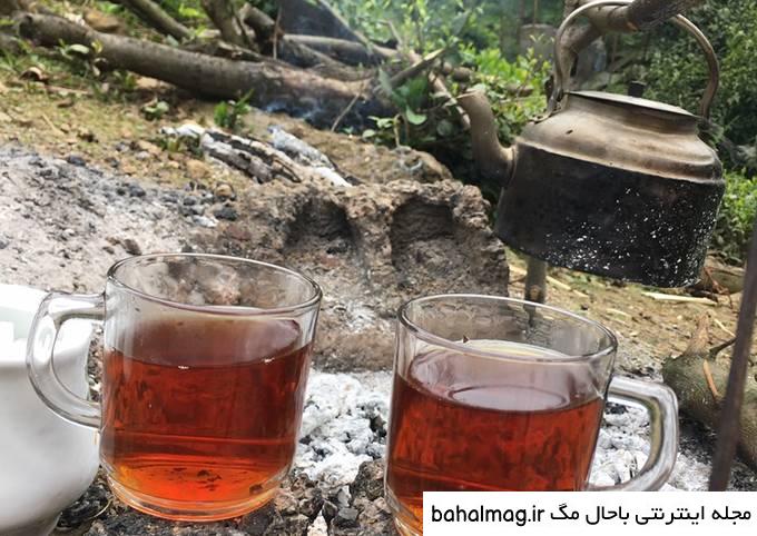 عکس چای آتیشی در طبیعت
