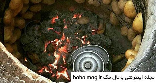 عکس چای آتیشی در طبیعت