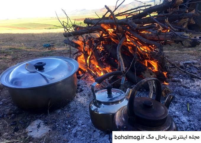 عکس چای آتیشی در طبیعت