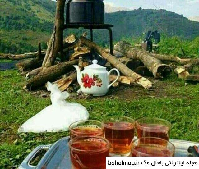 عکس چای آتیشی در طبیعت