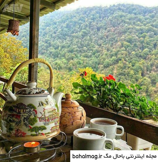 عکس خفن عکس فنجان چای در پاییز