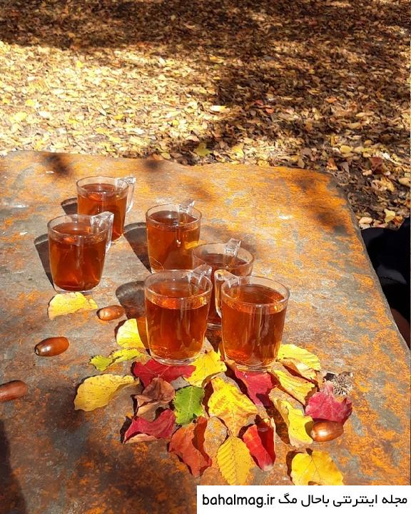 عکس فنجان چای در پاییز