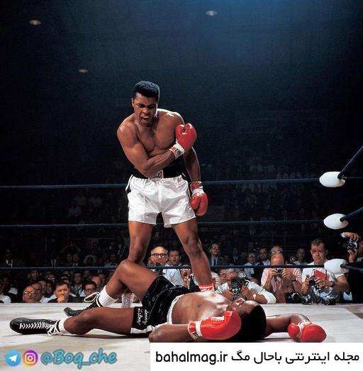 بهترین عکس قرن جدید