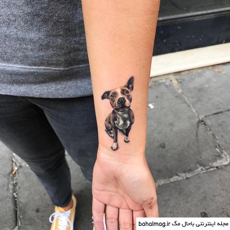 طرح تاتو سگ ژرمن باحال مگ