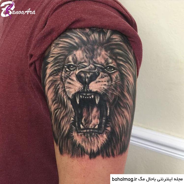 طرح تاتو شیر روی بازو باحال مگ