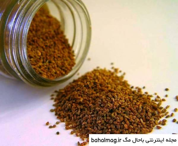 بهترین عکس بذر کرفس