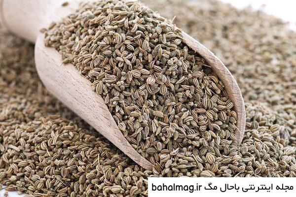 جدیدترین عکس بذر کرفس