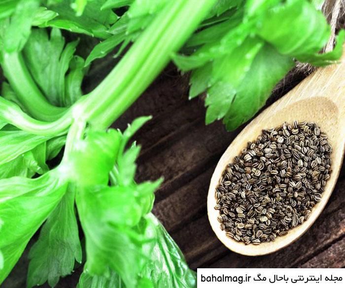 خاص ترین عکس بذر کرفس