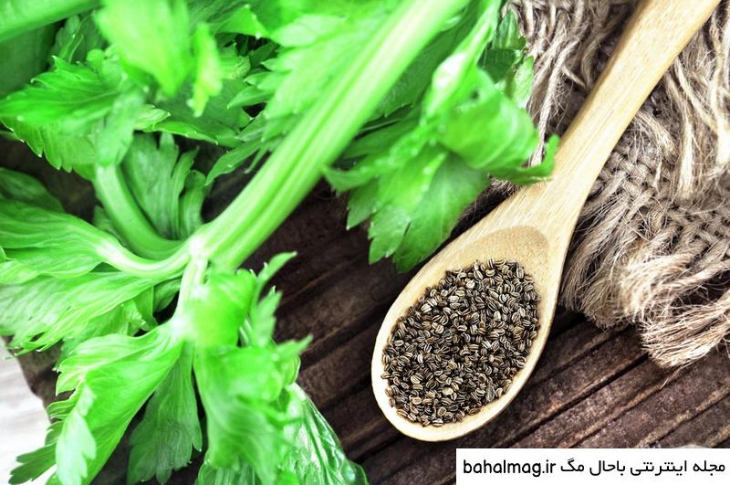 عکس بذر کرفس جدید