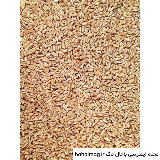 عکس جو دوسر به روز
