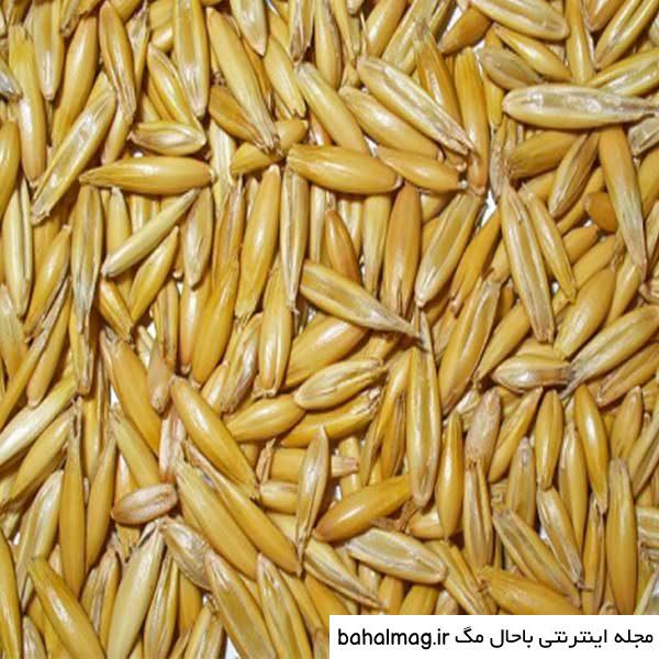 عکس جو دوسر پرک