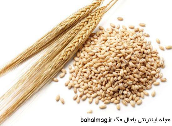 عکس جو دوسر