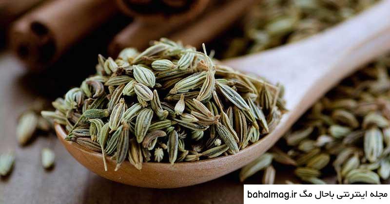 خاص ترین عکس رازیانه سبز