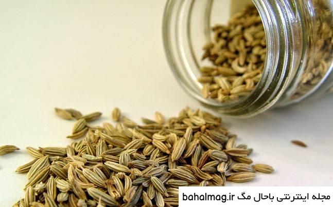 عکس رازیانه سبز با کیفیت