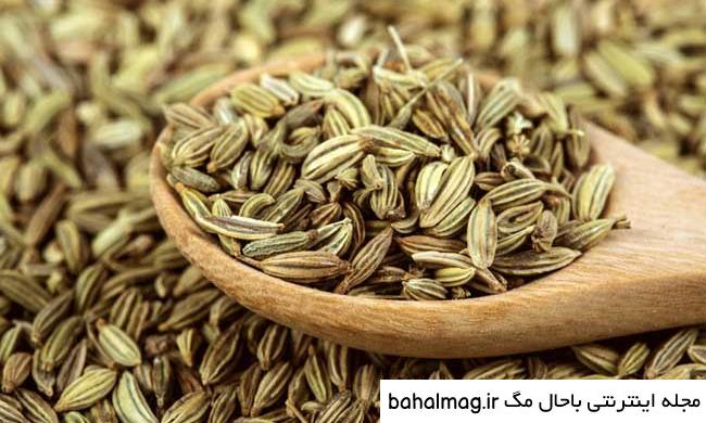 عکس رازیانه سبز باحال مگ