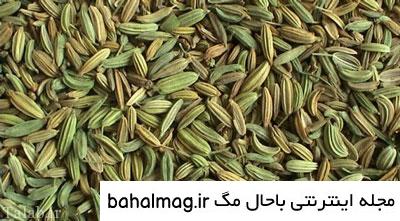 عکس رازیانه سبز به روز