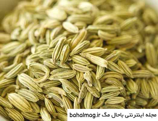 عکس رازیانه سبز دانلود