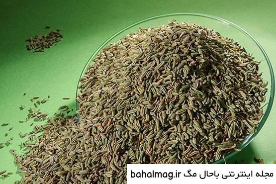 عکس رازیانه سبز