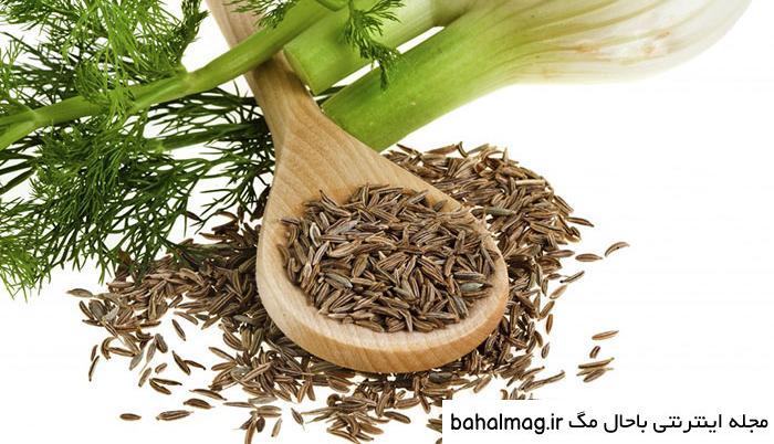 عکس گیاه رازیانه سبز