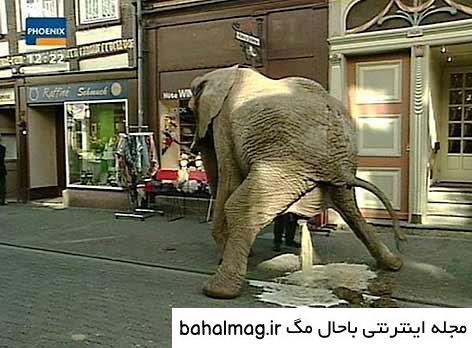 عکس زشت و بی ادبی با کیفیت