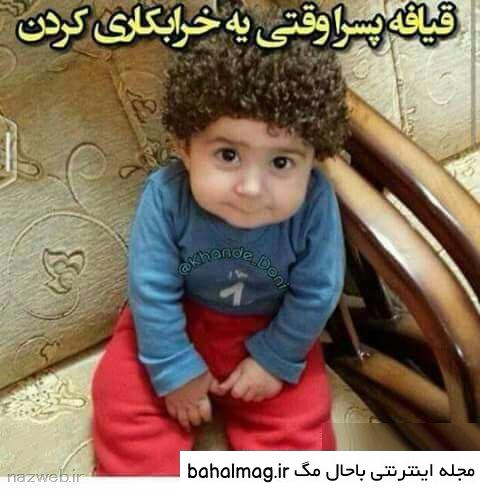 مجموعه عکس زشت و بی ادبی
