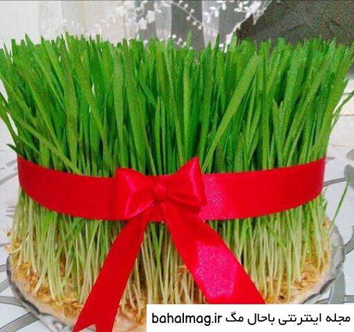 تصاویر سبزه های عید