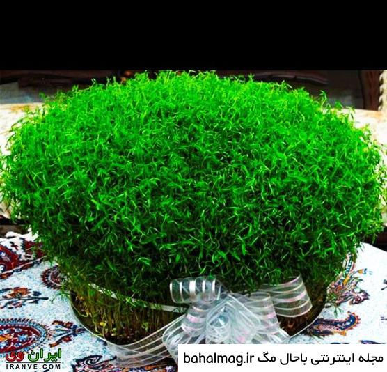 جالب ترین عکس سبزه های عید