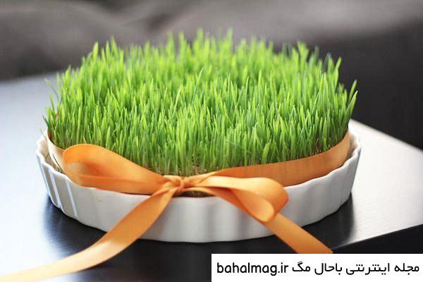 عکس سبزه نارنج برای عید
