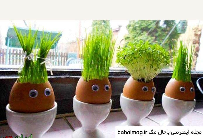 عکس سبزه های عید با کیفیت