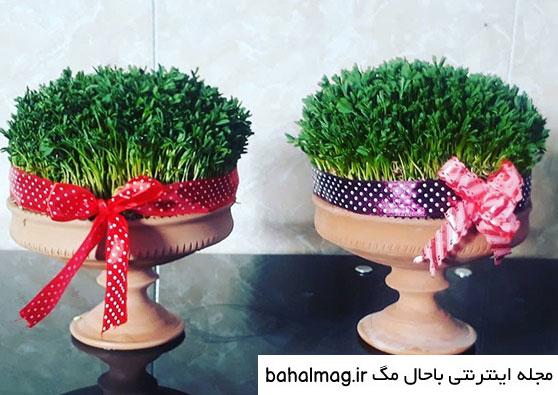عکس سبزه های عید