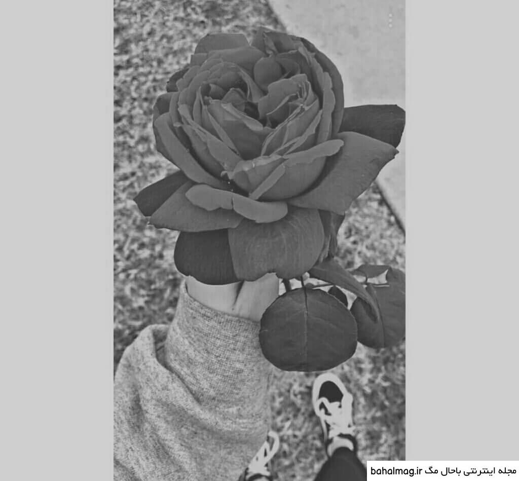 عکس سفید پروفایل جدید